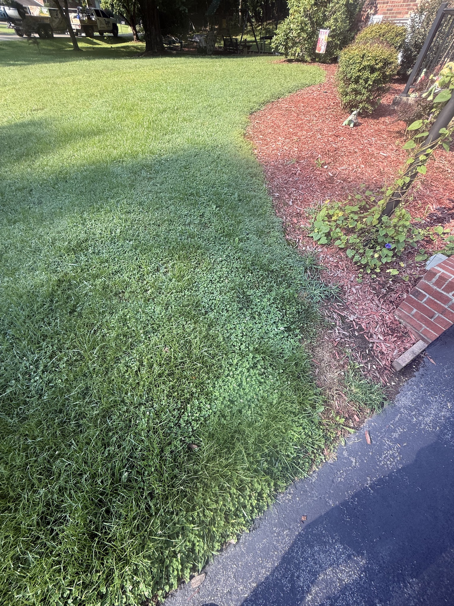 Mulched bed beside a brick home before decorative curbing