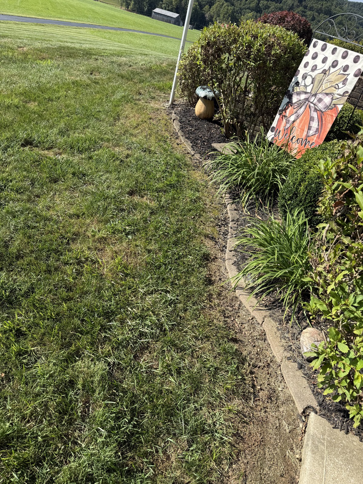 Before: Decorative edging frames the planting bed around the flagpole.