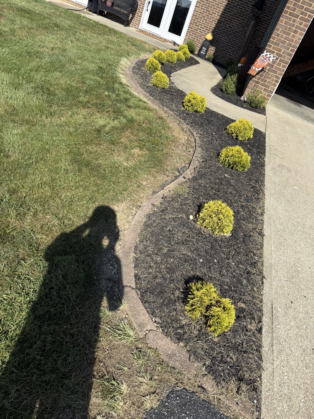 Before: New decorative curbing follows the curves of the front planting bed.