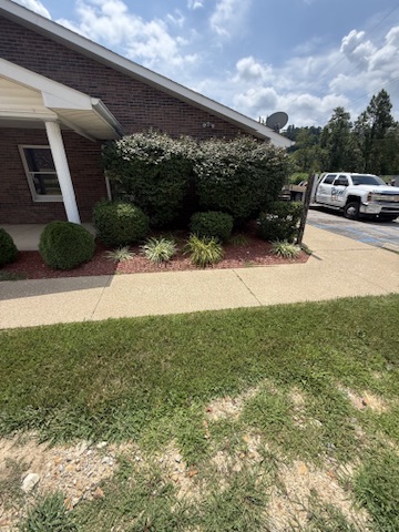 Front garden with overgrown shrubs and red mulch before the refresh