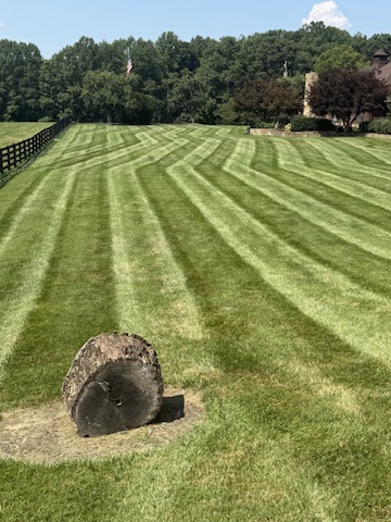 A freshly mown lawn with crisp stripes, cared for by Clean Cut
