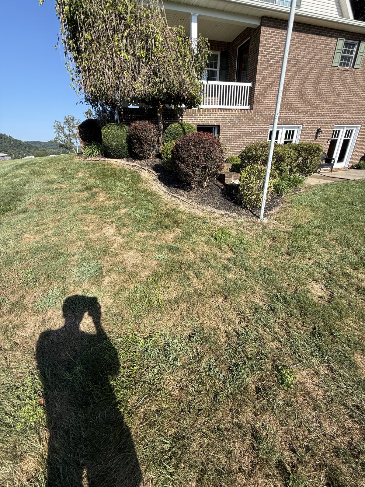 Before: A curved edge defines the garden in front of the home.