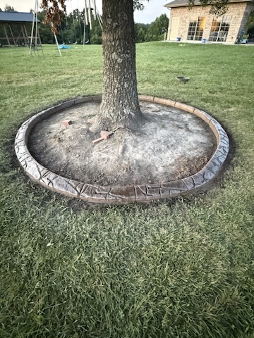 Circular decorative curbing around a large tree